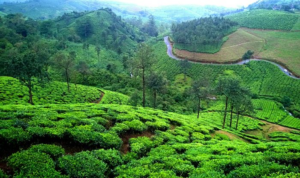 കോഴിക്കോട് നിന്നും കെ എസ് ആര്‍ ടി സി വാഗമണ്‍, കുമരകം വിനോദയാത്ര സംഘടിപ്പിക്കുന്നു, kozhikode ksrtc tour trips, thottilpaalam ksrtc tour trips, ksrtc budget tourism trips, kozhikode tourism, kozhikode news, calicut news, kozhikode varthakal, kozhikode trips, calicut reporter