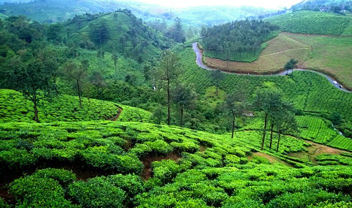 കോഴിക്കോട് നിന്നും കെ എസ് ആര്‍ ടി സി വാഗമണ്‍, കുമരകം വിനോദയാത്ര സംഘടിപ്പിക്കുന്നു, kozhikode ksrtc tour trips, thottilpaalam ksrtc tour trips, ksrtc budget tourism trips, kozhikode tourism, kozhikode news, calicut news, kozhikode varthakal, kozhikode trips, calicut reporter
