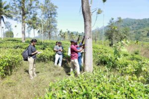 മുണ്ടക്കൈ-ചൂരല്‍മല ടൗണ്‍ഷിപ്പ് : അഞ്ച് ദിവസത്തിനകം സര്‍വ്വെ പൂര്‍ത്തീകരിക്കും