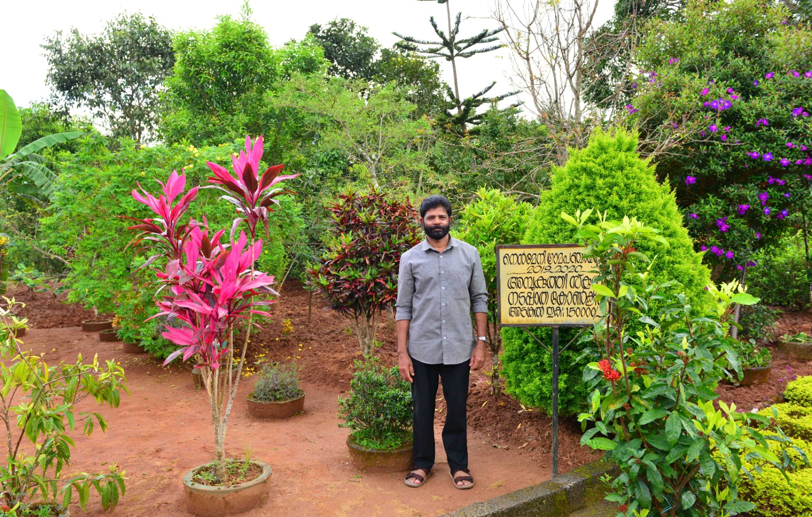 കെ സി പീറ്റർ; അമ്പുകുത്തി സ്കൂളിലെ പച്ചപ്പിന്റെ കാവലാൾ, best psc coaching centre kozhikode silverleaf psc academy, best psc coaching centre calicut silverleaf psc academy, psc coaching centre kozhikode silverleaf psc academy, psc coaching centre calicut silverleaf psc academy, kozhikode psc coaching centre calicut silverlef psc academy, calicut psc coaching centre kozhikode silverleaf psc academy, psc coaching silverleaf psc academy, calicutreporter.com