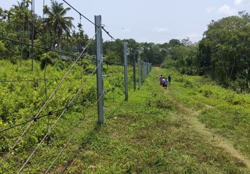 വന്യമൃഗ സംഘര്‍ഷ പ്രതിരോധ പദ്ധതി: ക്രാഷ് ഗാര്‍ഡ് റോപ് ഫെന്‍സിങ് സംസ്ഥാനത്ത് ആദ്യം മാനന്തവാടിയില്‍, man animal conflict Wayanad Wayanad human wildlife conflict animal attacks Wayanad wildlife conflict Wayanad district man elephant conflict Wayanad, elephant attack Wayanad tiger attack Wayanad leopard attack Wayanad wild boar attack Wayanad monkey menace Wayanad elephant human conflict Wayanad tiger human conflict Wayanad, Sulthan Bathery elephant attack Kalpetta animal conflict Mananthavady wildlife conflict Pulpally elephant attack Vythiri animal attack Wayanad forest animal conflict, Wayanad elephant death Wayanad farmer killed by elephant crop damage by elephants Wayanad property damage wildlife Wayanad, human casualties wildlife Wayanad, Wayanad wildlife conflict mitigation elephant proof trenches Wayanad wildlife corridor Wayanad human elephant coexistence Wayanad wildlife conflict solutions Wayanad, Kerala forest department Wayanad wildlife warden Wayanad forest officials Wayanad wildlife compensation Wayanad rapid response team Wayanad, Wayanad wildlife conflict study human animal conflict research Wayanad wildlife movement patterns Wayanad habitat fragmentation Wayanad, Wayanad animal attack news latest wildlife conflict Wayanad breaking news elephant attack Wayanad Wayanad wildlife conflict today, "why do elephants attack humans in Wayanad" "how to prevent animal attacks in Wayanad" "Wayanad wildlife conflict statistics" "compensation for animal attack victims Wayanad" "wildlife conflict hotspots in Wayanad", monsoon wildlife conflict Wayanad summer elephant movement Wayanad seasonal animal migration Wayanad, wildlife conservation Wayanad forest encroachment Wayanad habitat protection Wayanad sustainable coexistence Wayanad, Wayanad wildlife conflict case study human wildlife interface Wayanad ecological corridors Wayanad wildlife management Wayanad
